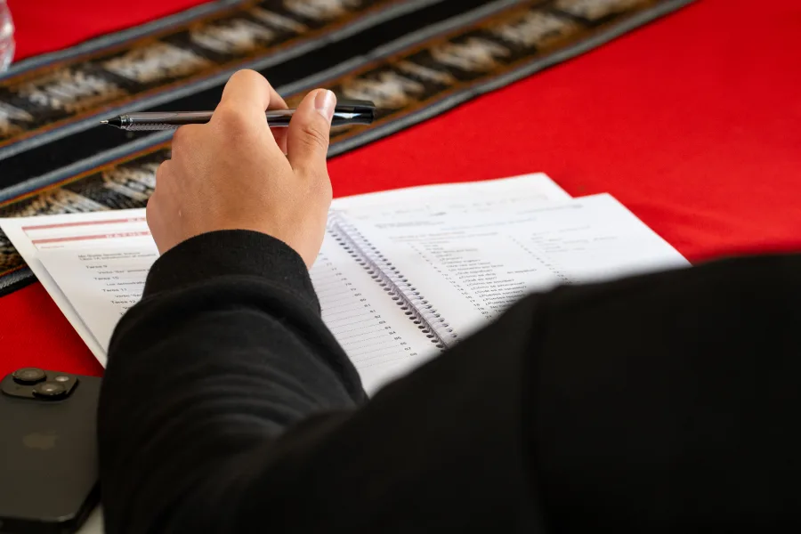 Memory and learning techniques